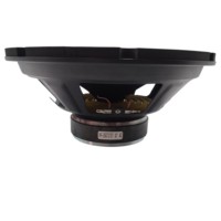 Subwoofer de escenario profesional de 10 pulgadas con 35 núcleos 110 magnetismo 4Ω Woofer de ferrita hecho en Guangzhou Metal pasivo