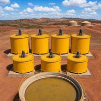 Équipement d'extraction aurifère à petite échelle, usine CIP CIL à charbon actif, réservoir de lixiviation et d'agitation à vendre