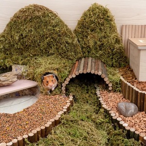 Literie <span class=keywords><strong>de</strong></span> hamster sans poussière personnalisable en écorce <span class=keywords><strong>de</strong></span> chêne écologique et matériaux floraux botaniques - Product Image 5