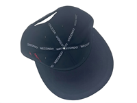 Gorra Personalizada con Logotipo, Gorra Snapback de Hip Hop con Visera Personalizable, Gorra de Alta Calidad de Algodón y Felpa, Estilo Urbano, Bordado en Relieve para Fiestas