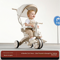 Tricycle parent-enfant avec auvent en plastique PP, 3 roues en EVA, 2-4 ans