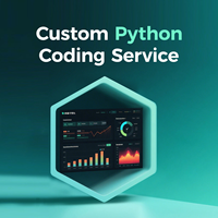 Servicio DE DESARROLLO DE Python personalizado Solución empresarial personalizada 24/7 Soporte para proyectos de Big Data de comercio electrónico