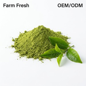 Té Verde Matcha en Polvo de Grado Culinario, Ingrediente Premium para Hornear, para Latte, Smoothie, Postres y Pasteles, Sin GMO, Compra al por Mayor - Product Image 3