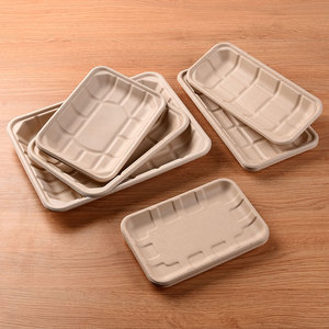 Plateau rectangulaire <span class=keywords><strong>jetable</strong></span> TR104 Protection de l'environnement Vaisselle en bagasse Alternative écologique aux assiettes en plastique - Product Image 3