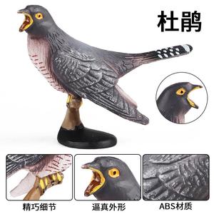 Yxs bambini simulazione animale modello giocattoli <span class=keywords><strong>cucù</strong></span> uccello Shrike gazza educazione precoce casa cognitiva - Product Image 4