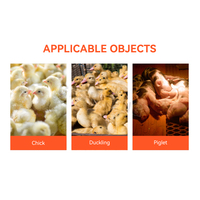 Ferme poulet maison équipement allumage automatique poussins couveuse poulet couveuse chauffage