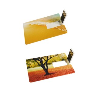 ของขวัญส่งเสริมการขายที่กำหนดเองบัตรเครดิต <span class=keywords><strong>USB</strong></span> แฟลชไดรฟ์ปากกาไดรฟ์หน่วยความจำติดการ์ด <span class=keywords><strong>USB</strong></span> 64GB 32GB 16GB 4GB 8GB - Product Image 6