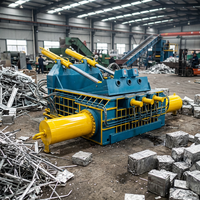 Compacteur de déchets industriels BRYDA, presse hydraulique pour aluminium et acier, entièrement automatique, presse à ferraille horizontale, modèle 250A