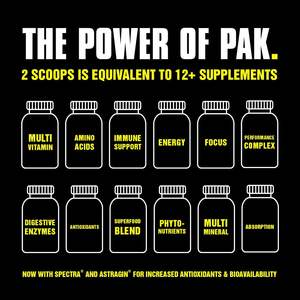 OEM/ODM <span class=keywords><strong>PAK</strong></span> Ultimate Training Foundation Powder-Multivitamínico 12 en 1, aminoácidos, antioxidantes y enzimas digestivas - Product Image 4