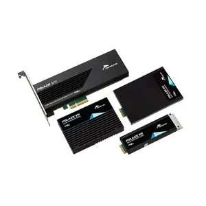 PBlaze7 7940 AS 2 PCIe 5.0 Enterprise SSD 15.36T 3.84T untuk PC server dan stasiun kerja enterprise SSD