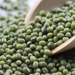 Sell Large Quantities Of Dried Mung Beans Wholesale