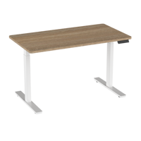 Hauteur réglable bureau colonne de levage électrique exécutif grand bureau moderne bureau debout double moteur