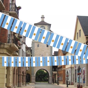 2026 Wholesale Advertising Polyester String <strong>Flag</strong> Argentina <strong>Flags</strong> Bunting Ready to Ship 3x5 Ft 90x150cm <strong>AR</strong> Argentine <strong>Flag</strong> - Product Image 4