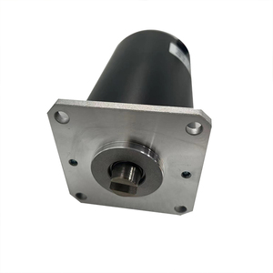 Custom Brushed or Brushless Dc Pump Motor 24v 12v 36v 48v for Water Oil Hydraulic Air Pump 50w 100w 200w 500w 800w - Product Image 4