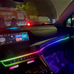 Chasse à la lumière ambiante de <span class=keywords><strong>voiture</strong></span> bande acrylique 2022 nouveaux produits 18 Sources de lumière avec porte et 4 pieds bien lumière LED - Product Image 5