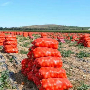 Bền Chất Lượng Cao Hành Tây Bao Bì Túi Khoai Tây Tỏi Tươi Gừng Cam Màu Xanh Lá Cây Đậu Đậu Phộng Củi Bao Bì Túi - Product Image 5