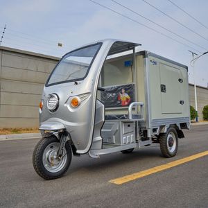 Fland Freezer Scooter électrique Tricycles électriques <span class=keywords><strong>Vélo</strong></span> cargo électrique avec mini chambre froide avec trois roues - Product Image 1