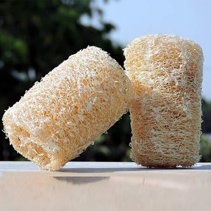 ฟองน้ำทำความสะอาดจาน ทำจากวัตถุดิบธรรมชาติ 100% สำหรับขัดผิวกายและทำความสะอาดในครัว - Product Image 4