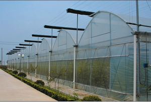 <span class=keywords><strong>Precio</strong></span> razonable Ingeniería agrícola solar Sistema general Controlador de entorno Multi-Span Green House - Product Image 3
