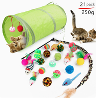 Ensemble de jouets interactifs pour chat : tunnel, balles à clochettes, baguettes à plumes, tubes de jeu pliables, accessoires amusants pour l'entraînement des chatons