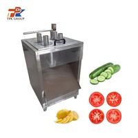 Industriële groente- en fruitsnijmachine, plantainchipsnijder met motor voor groenteverwerkingsbedrijven