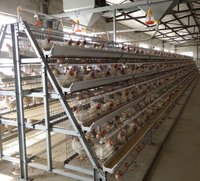 Cage à poules pondeuses de type A au meilleur prix avec système d'alimentation et de nettoyage automatique du fumier – Équipement pour ferme avicole