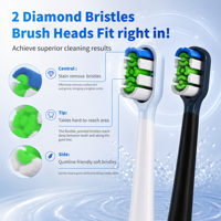 Brosse à dents électrique sonique intelligente BSCI FDA avec écran couleur, capteur de pression, minuteur, brosse à dents sonique électrique