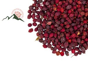 Fruta seca de espino búlgaro Crataegus monogyna Jacq. Ingredientes herbales prémium al por mayor - Product Image 2