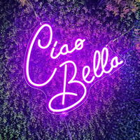 Meilleures ventes, nouveauté, révélation de sexe, fournitures de fête personnalisées au néon, panneaux muraux décoratifs en acrylique, néons à LED, enseignes personnalisées