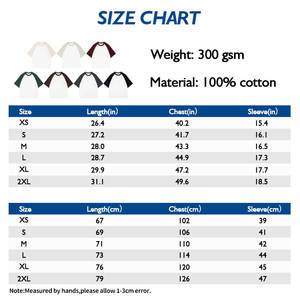 T-shirt Vibrant Youth 300gsm Cotton Raglan, Color Block Round Neck - Product Image 4