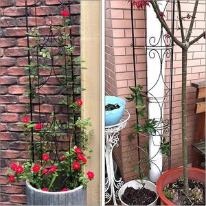 Arco <span class=keywords><strong>de</strong></span> Metal para Plantas Trepadoras, Soporte <span class=keywords><strong>de</strong></span> <span class=keywords><strong>Enrejado</strong></span> para Plantas en Maceta <span class=keywords><strong>de</strong></span> Interior - Product Image 4