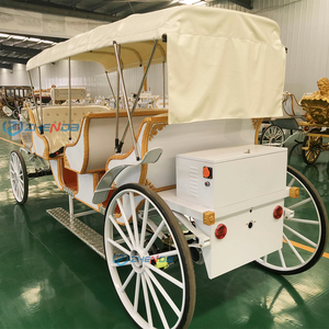 Carrozza Vintage Personalizzata a Tre File per Gite Turistiche, Design Personalizzato Elettrico o a Cavallo - Product Image 6