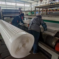 Planche de drainage alvéolée en plastique HDPE géocomposite, feuille de drainage alvéolée, membrane de fondation alvéolée