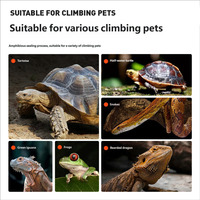 Terrarium en verre haut de gamme pour reptiles, type forêt tropicale, avec ouverture frontale en maille et gestion des câbles, idéal pour les dragons barbus