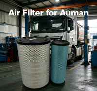 Nouvel élément filtrant à air à plaque plate SRY Auman pour Foton, capacité de retenue de saleté améliorée, durée de vie prolongée