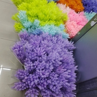 Pabrik Outlet Bunga Kering Rumput Ekor Kelinci Alami Asli Lagurus Ovatus Rumput Kelinci 60 pcs/ags untuk Dekorasi Pernikahan Rumah.