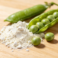 Protéine nutritionnelle de sport entier, vente en gros de protéine de pois en poudre d'isolat de protéine de pois biologique sans gm