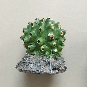 Phụ Kiện Trang Trí Bể Cá Cho Bò Sát Cây Xương Rồng Cảnh Quan Bằng Nhựa Trang Trí Cho Bò Sát - Product Image 4