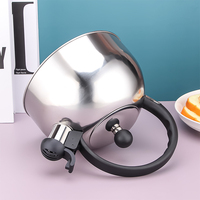 Poêle à eau portable en acier inoxydable, bouilloire à thé fouettée, bouilloire de haute qualité, capacité de 2l 3l, théière à café en acier inoxydable pour la maison