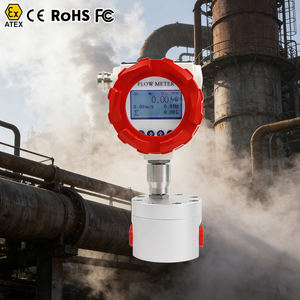 Medidor de Flujo Ovalado de 2 Pulgadas, Medidor de Flujo <span class=keywords><strong>IoT</strong></span>, Medidor Multifásico - Product Image 1