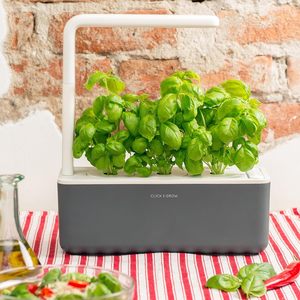 Click and Grow Smart Garden Lot de 3 gousses de plantes <span class=keywords><strong>en</strong></span> bambou Variété de <span class=keywords><strong>basilic</strong></span> dans des pots de fleurs et des jardinières élégamment conçus - Product Image 2