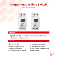 Temporizador Digital Programable Diario/Semanal de 7 Días para Riel DIN, Controlador de Tiempo AC 24V 36V 48V 110V, Venta al por Mayor