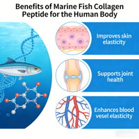 Poudre de collagène marin en peptides <1000Da, peau de morue des grands fonds, qualité alimentaire, soluble dans l'eau, complément alimentaire et cosmétique