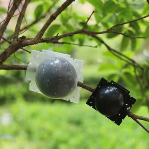 Plastic Plant Rooting <b>Box</b> High Pressure Grafting Ball Breeding Case <b>Gardening</b> <b>Tools</b> <b>for</b> Indoor Outdoor Plants - Product Image 4