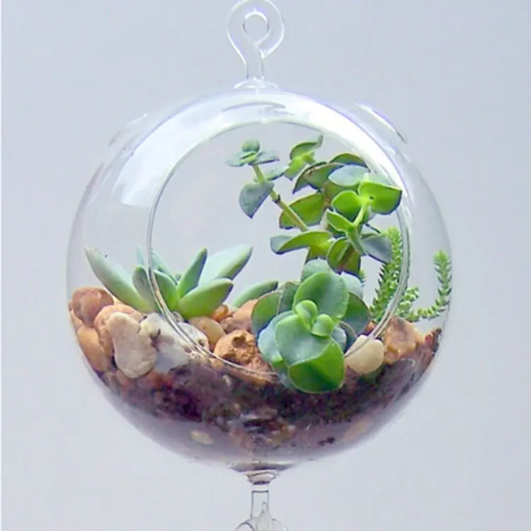 MH-12550 terrarium ornaments plants glass ball Hanging Glass Ball vase