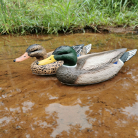 Leurre de canard en mousse EVA léger, directement de l'usine, pour la chasse tactique en extérieur, modèle de présentation de leurres d'oiseaux, étanche