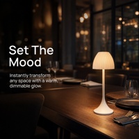 Lampe de table LED rechargeable avec commande tactile, abat-jour en PVC, lumière d'ambiance décorative pour chambre à coucher, restaurant, décoration intérieure, cadeau