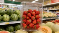 Barquettes à fruits jetables haute visibilité, coquilles transparentes permettant aux clients de voir la fraîcheur des produits pour les ventes en gros en supermarché