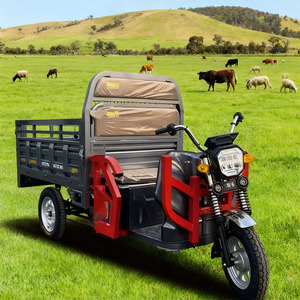 Meilleure vente <span class=keywords><strong>1500W</strong></span> Tricycle électrique de fret avec 2 passagers 72V voiture à trois roues motorisée disponible Types de carrosserie ouverte vente - Product Image 1