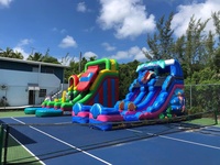 Toboggan aquatique gonflable géant commercial avec bâche en PVC amovible, château gonflable facile à installer, utilisation intérieure/extérieure, option économique pour